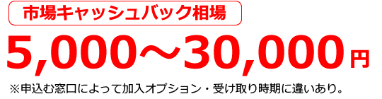 キャッシュバック最大3万円