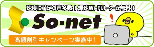so-net光申し込みサイト