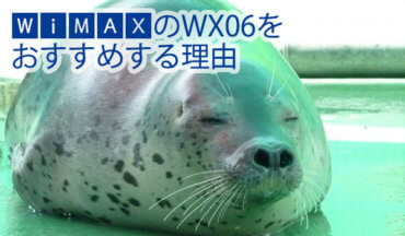 Wimax WX06