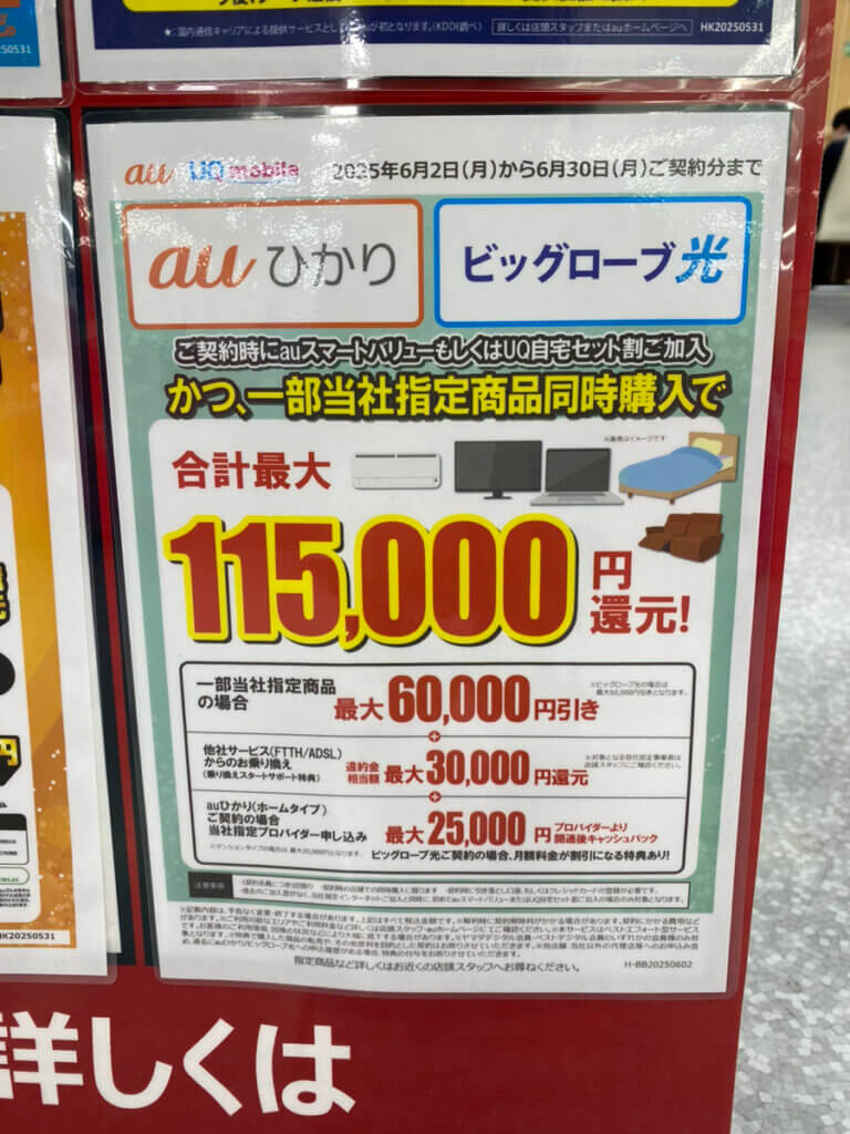  ヤマダ auひかり ビッグローブ光 6月