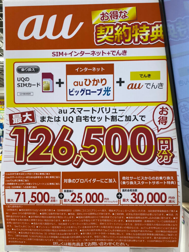 ビックカメラ auひかり ビッグローブ光