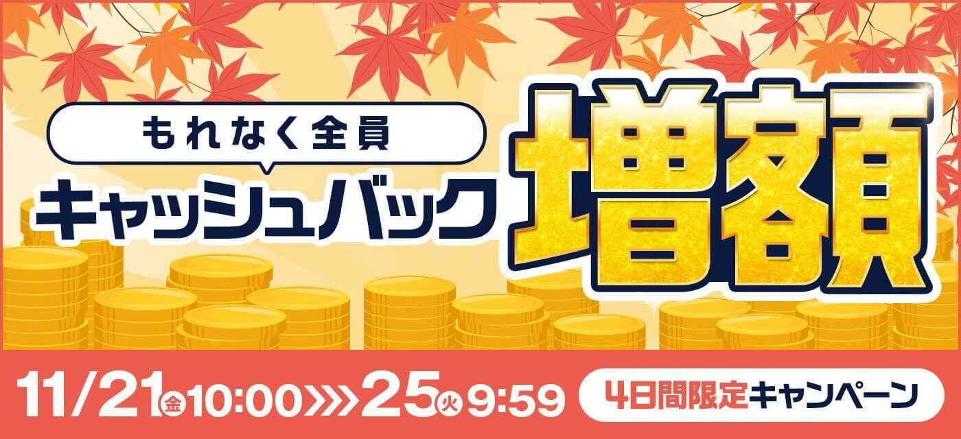 auひかり キャンペーン