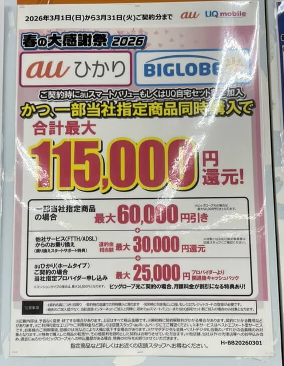 ヤマダ auひかり ビッグローブ光 3月のキャンペーン